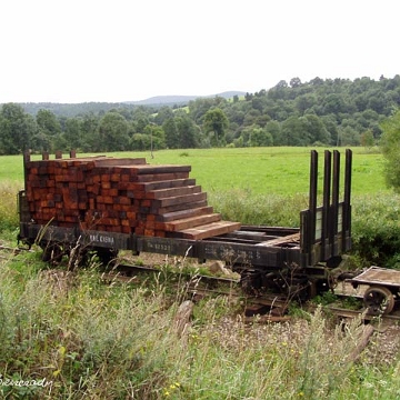 mikow04 Bieszczadzka Kolejka Leśna, Smolnik, 2006 (foto: P. Szechyński)