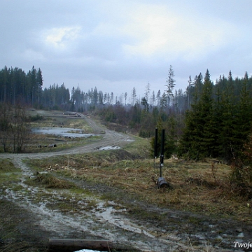 bukowiec2002d Dawniej szlak do Sianek biegł tą drogą, 2002 (foto: P. Szechyński)