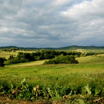 bukowiec2016a Bukowiec, widok w stronę północną (foto: P. Szechyński)