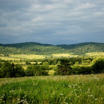 bukowiec2016b Bukowiec (foto: P. Szechyński)