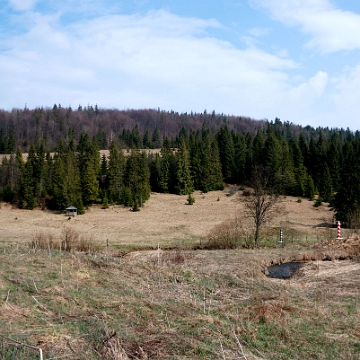 sianki2014e Sianki, granica na Sanie (foto: P. Szechyński)