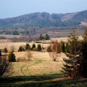 sianki2014k Beniowa (foto: P. Szechyński)