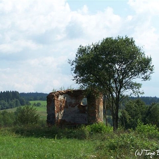 14 Jałowe, ruina kaplicy dworskiej (foto: P. Olejnik)
