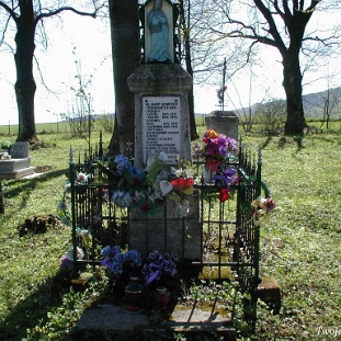radoszyce2003f Radoszyce, cmentarz cerkiewny, 2003 (foto: P. Szechyński)