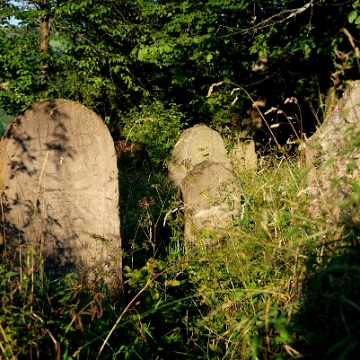 DSC_0011 Baligród, kirkut, macewy, stan na rok 2018 (foto: P. Szechyński)