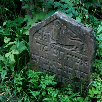 DSC_0012 Baligród, kirkut, macewy, stan na rok 2018 (foto: P. Szechyński)