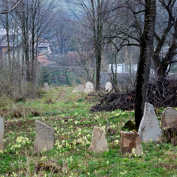 DSC_0263 Baligród, kirkut, macewy, 2010 (foto: P. Szechyński)