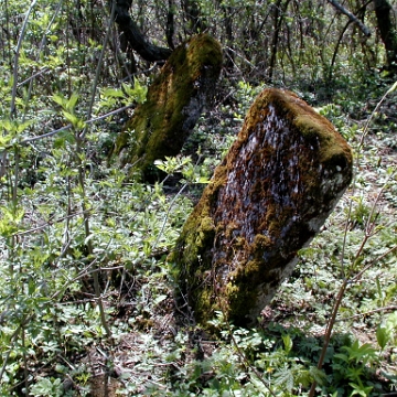 P1010006 Baligród, kirkut, stan przed remontem, 2003 (foto: P. Szechyński)