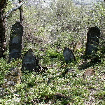 P1010011 Baligród, kirkut, macewy, stan przed remontem, 2003 (foto: P. Szechyński)