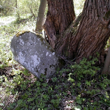 P1010013 Baligród, kirkut, stan przed remontem, 2003 (foto: P. Szechyński)