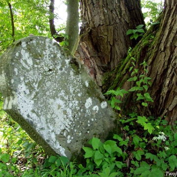 P7220013 Baligród, kirkut, stan na rok 2006 (foto: P. Szechyński)