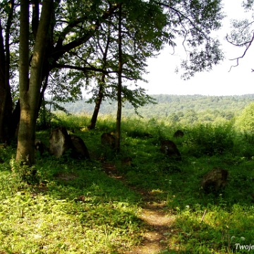 P7220021 Baligród, kirkut, stan na rok 2006 (foto: P. Szechyński)