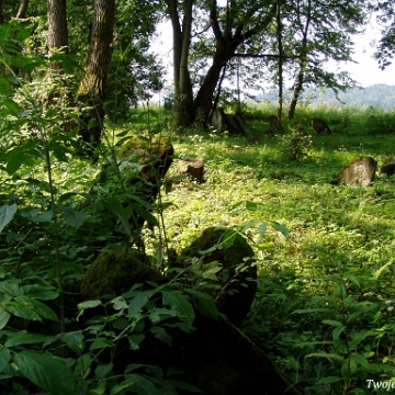 P7220040 Baligród, kirkut, stan na rok 2006 (foto: P. Szechyński)