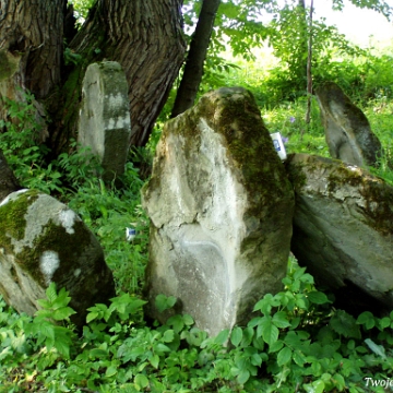 P7220041 Baligród, kirkut, stan na rok 2006 (foto: P. Szechyński)