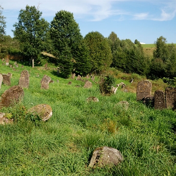 DSC_0120a Lutowiska, cmentarz żydowski - kirkut, 2017 (foto: P. Szechyński)