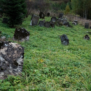 DSC_0215 Lutowiska, cmentarz żydowski - kirkut, 2013 (foto: P. Szechyński)
