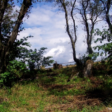 P8090005 Lutowiska, cmentarz żydowski - kirkut, 2005 (foto: P. Szechyński)