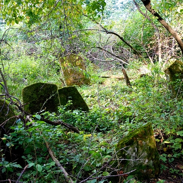 DSC_0136 Ustrzyki Dolne, cmentarz żydowski - kirkut, 2010 (foto: P. Szechyński)