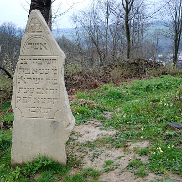 DSC_0266 Baligród, kirkut, macewy, 2010 (foto: P. Szechyński)