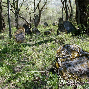 P1010012 Baligród, kirkut, stan przed remontem, 2003 (foto: P. Szechyński)