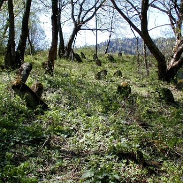 P1010015 Baligród, kirkut, stan przed remontem, 2003 (foto: P. Szechyński)