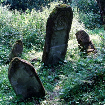 P7220023 Baligród, kirkut, macewy, stan na rok 2006 (foto: P. Szechyński)