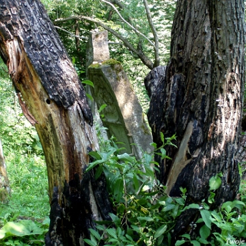 P7220033 Baligród, kirkut, stan na rok 2006 (foto: P. Szechyński)