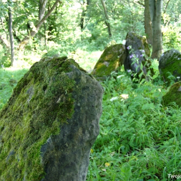 P7220042 Baligród, kirkut, macewy, stan na rok 2006 (foto: P. Szechyński)