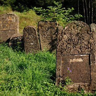 DSC_0121a Lutowiska, cmentarz żydowski - kirkut, 2017 (foto: P. Szechyński)