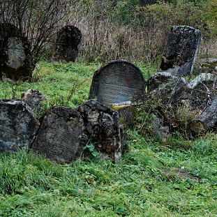 DSC_0216 Lutowiska, cmentarz żydowski - kirkut, 2013 (foto: P. Szechyński)