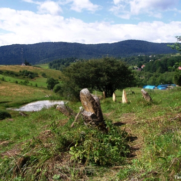 P8090004 Lutowiska, cmentarz żydowski - kirkut, 2005 (foto: P. Szechyński)