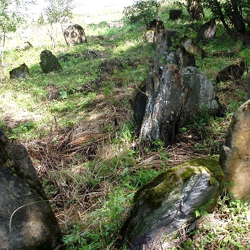 P8090007 Lutowiska, cmentarz żydowski - kirkut, 2005 (foto: P. Szechyński)