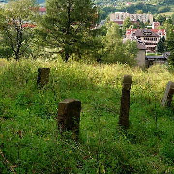 DSC_0114 Ustrzyki Dolne, cmentarz żydowski - kirkut, 2010 (foto: P. Szechyński)