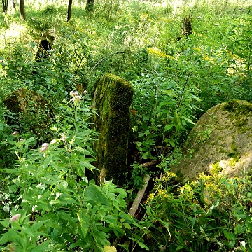 DSC_0123 Ustrzyki Dolne, cmentarz żydowski - kirkut, 2010 (foto: P. Szechyński)