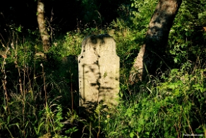 DSC_0009 Baligród, kirkut, macewy, stan na rok 2018 (foto: P. Szechyński)