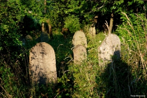 DSC_0010 Baligród, kirkut, macewy, stan na rok 2018 (foto: P. Szechyński)