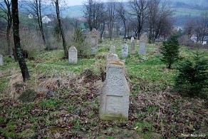DSC_0249 Baligród, kirkut, macewy, 2010 (foto: P. Szechyński)