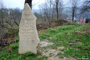 DSC_0266 Baligród, kirkut, macewy, 2010 (foto: P. Szechyński)