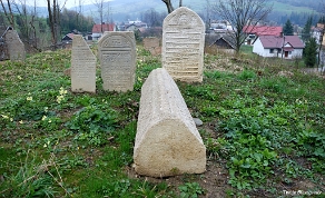 DSC_0269 Baligród, kirkut, macewy i nagrobek tumbowy, 2010 (foto: P. Szechyński)