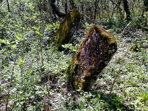 P1010006 Baligród, kirkut, stan przed remontem, 2003 (foto: P. Szechyński)