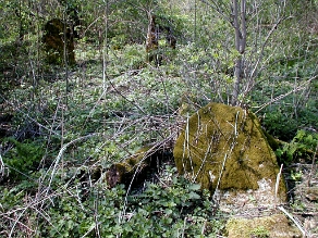 P1010007 Baligród, kirkut, stan przed remontem, 2003 (foto: P. Szechyński)