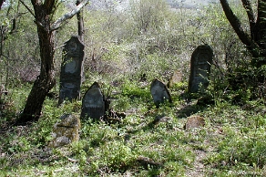 P1010011 Baligród, kirkut, macewy, stan przed remontem, 2003 (foto: P. Szechyński)