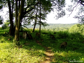 P7220021 Baligród, kirkut, stan na rok 2006 (foto: P. Szechyński)