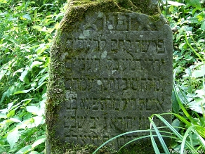 P7220027 Baligród, kirkut, stan na rok 2006 (foto: P. Szechyński)