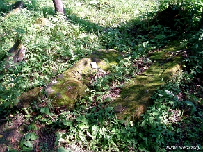 P7220038 Baligród, kirkut, stan na rok 2006 (foto: P. Szechyński)