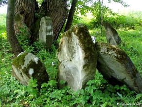 P7220041 Baligród, kirkut, stan na rok 2006 (foto: P. Szechyński)