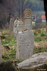 DSC_0253 Baligród, kirkut, macewy, stan na rok 2010 (foto: P. Szechyński)
