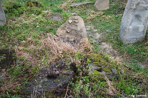 DSC_0256 Baligród, kirkut, macewy, 2010 (foto: P. Szechyński)