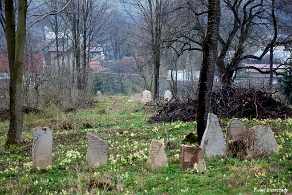 DSC_0263 Baligród, kirkut, macewy, 2010 (foto: P. Szechyński)