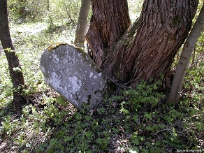 P1010013 Baligród, kirkut, stan przed remontem, 2003 (foto: P. Szechyński)